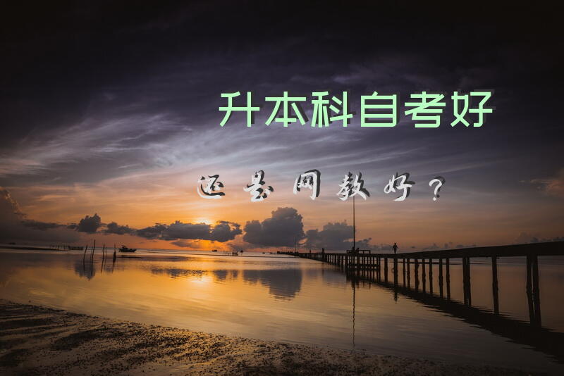 升本科，自考好还是网教好？