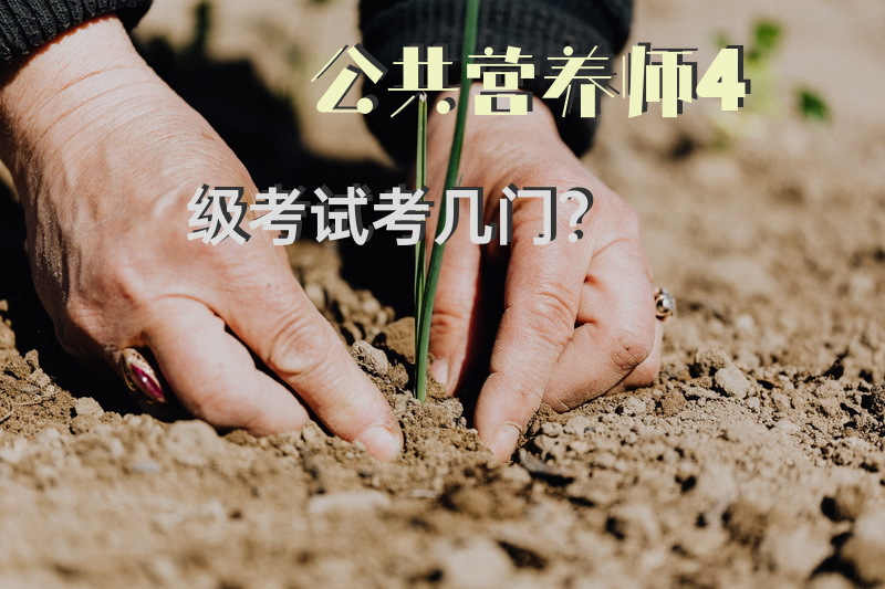 公共营养师4级考试考几门？