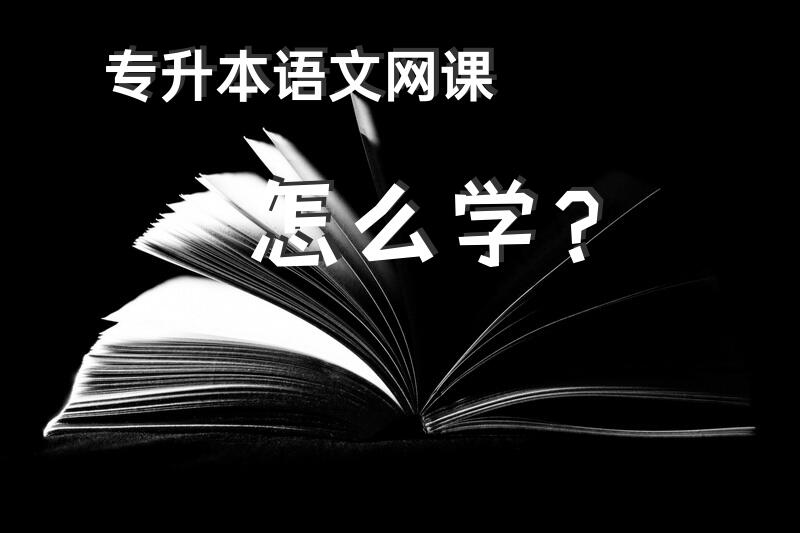 专升本语文网课怎么学？