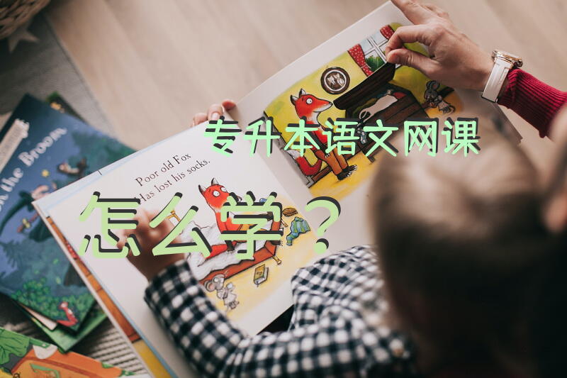 专升本语文网课怎么学？