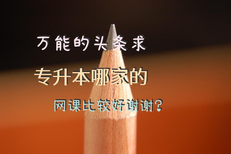 万能的头条，求专升本哪家的网课比较好，谢谢？