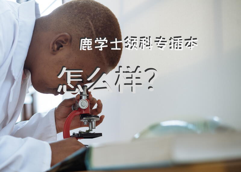 鹿学士领科专插本怎么样？