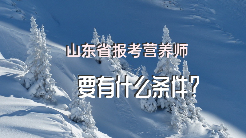 山东省报考营养师要有什么条件？