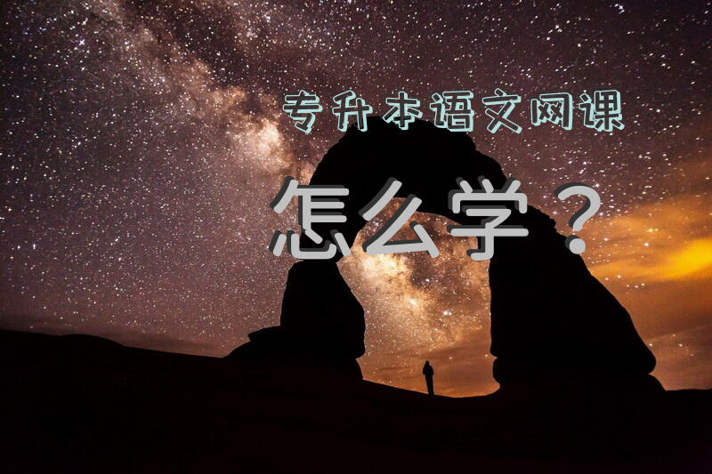 专升本语文网课怎么学？