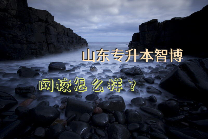 山东专升本智博网校怎么样？