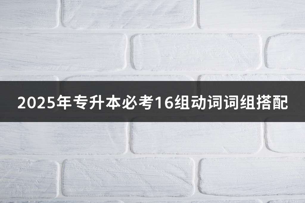 2025年专升本必考16组动词词组搭配