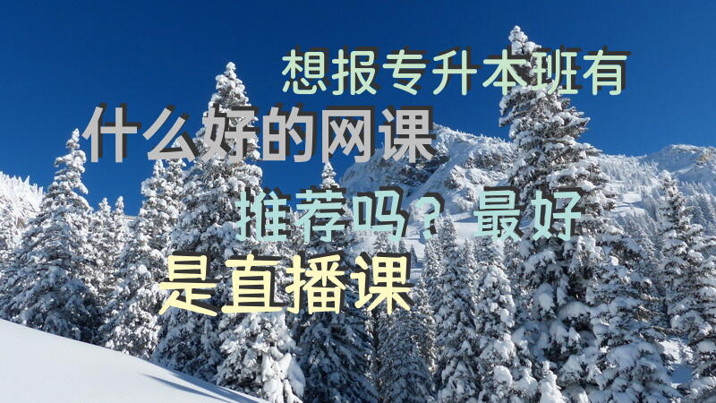 想报专升本班，有什么好的网课推荐吗？最好是直播课？