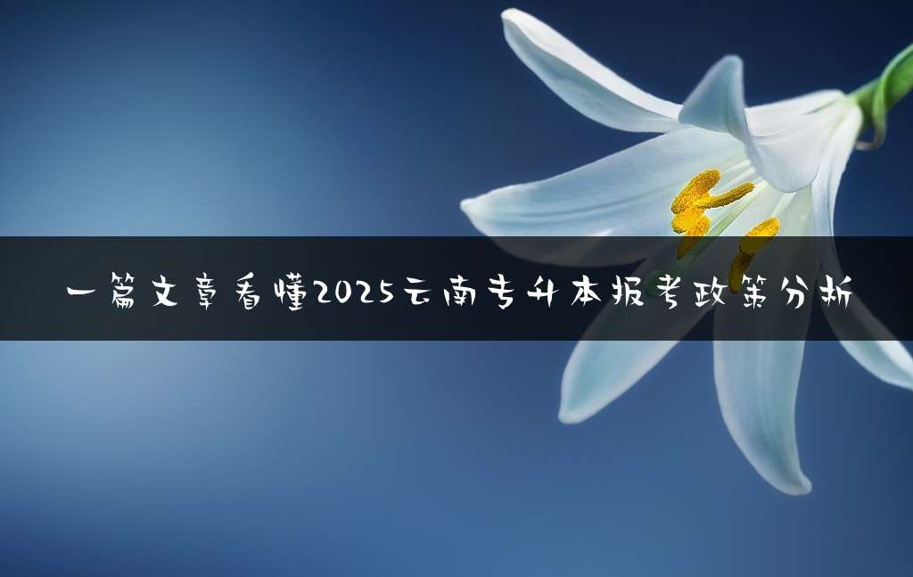 一篇文章看懂2025云南专升本报考政策分析