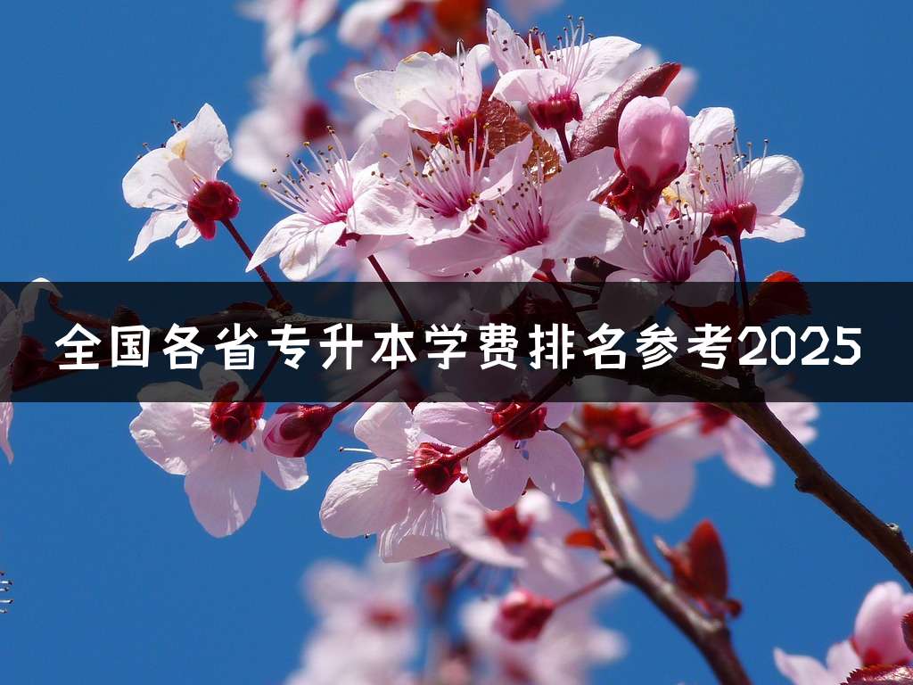 全国各省专升本学费排名参考2025