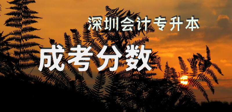 深圳会计专升本成考分数
