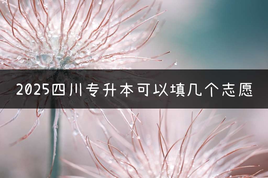 2025四川专升本可以填几个志愿