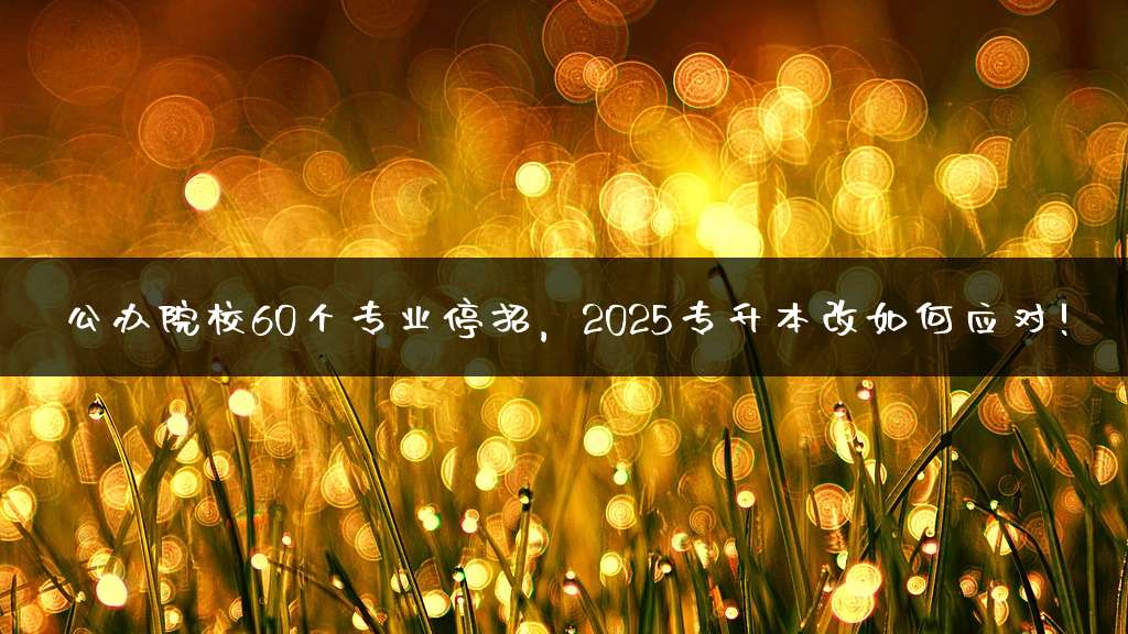 公办院校60个专业停招，2025专升本改如何应对!