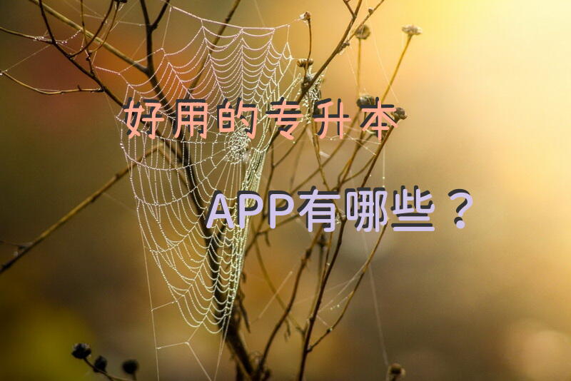 好用的专升本APP有哪些？江苏专转本数学考哪些内容？