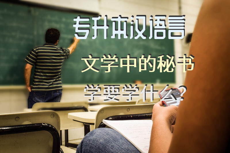 专升本，汉语言文学中的秘书学要学什么？