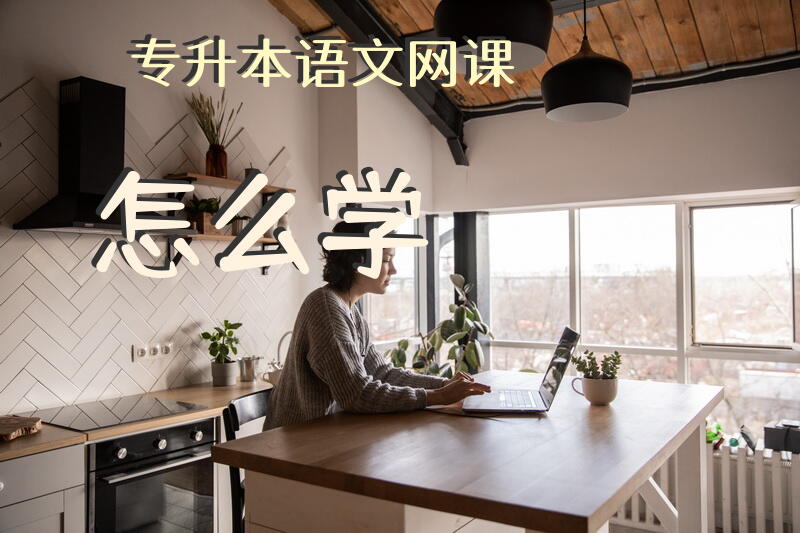 专升本语文网课怎么学？
