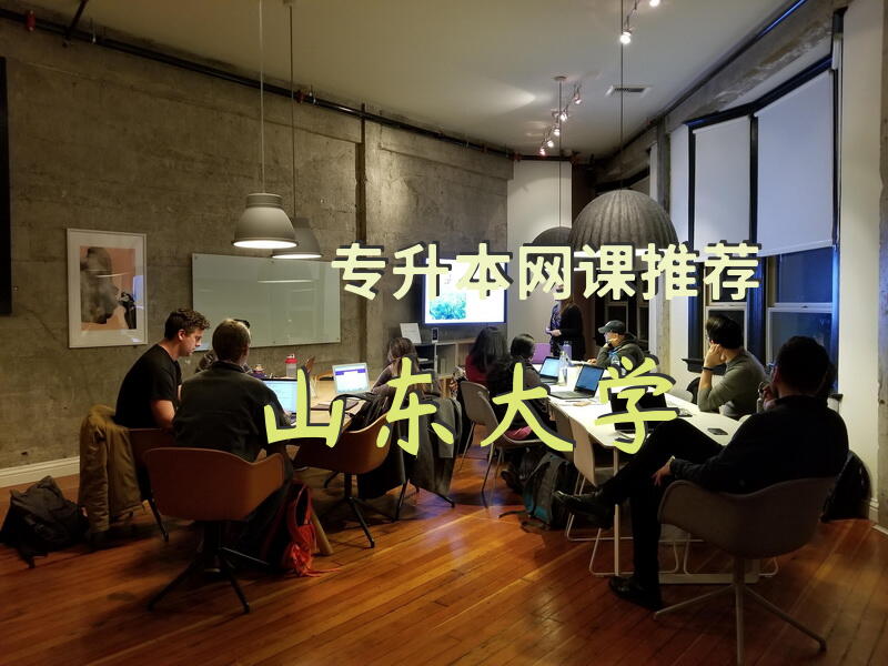 专升本网课推荐山东大学