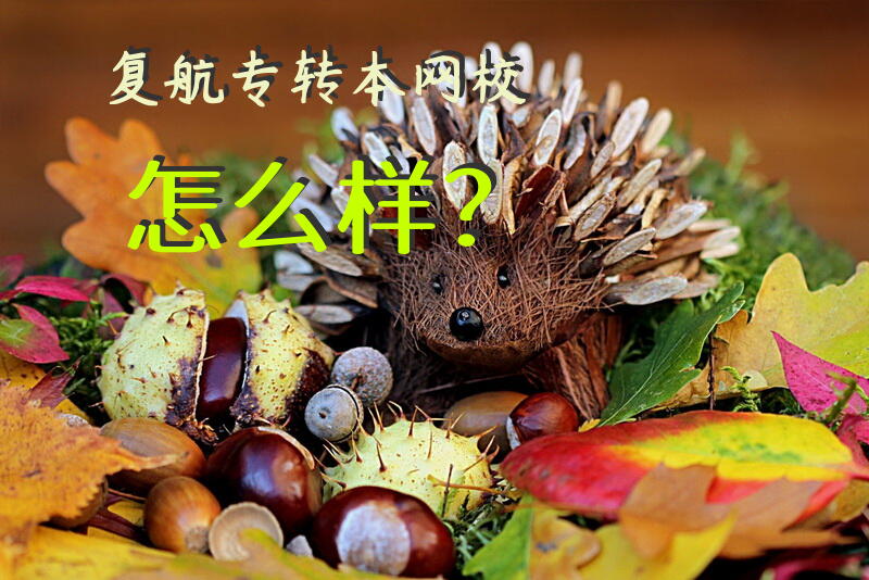 复航专转本网校怎么样？