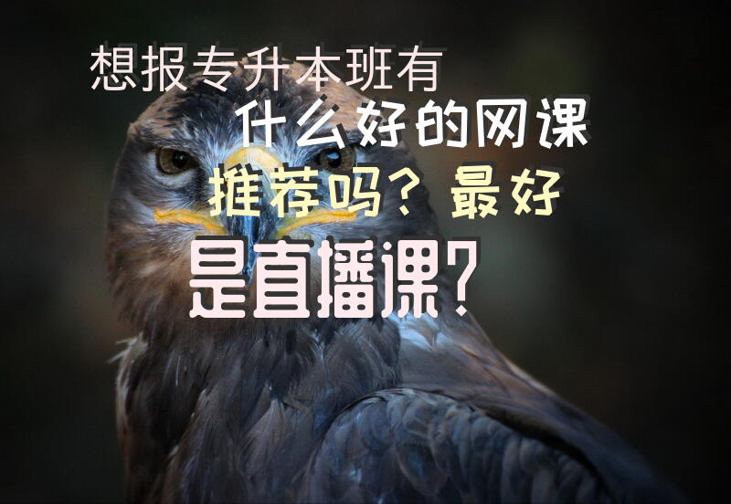 想报专升本班，有什么好的网课推荐吗？最好是直播课？