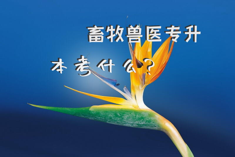 畜牧兽医专升本考什么？兽医专业专升本都考哪些科目？