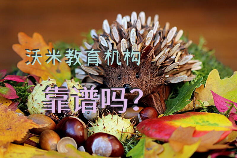 沃米教育机构靠谱吗？