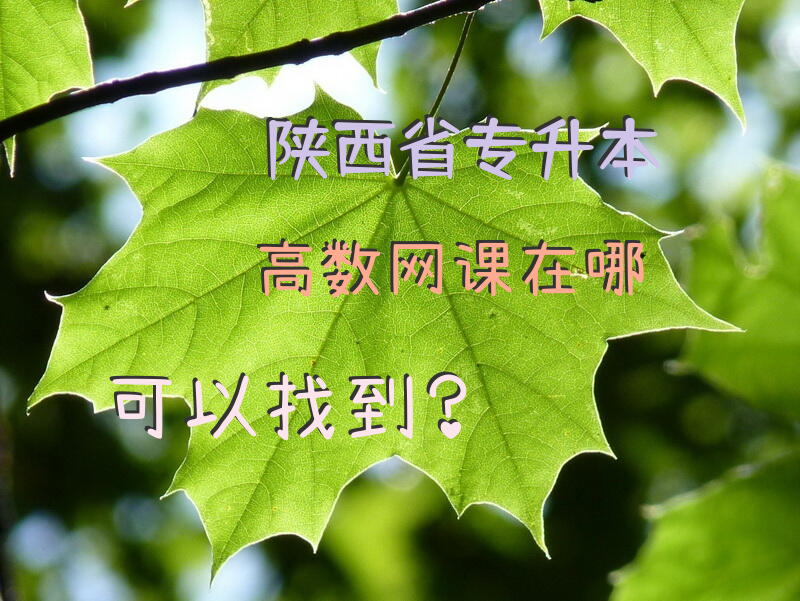 陕西省专升本高数网课在哪可以找到？