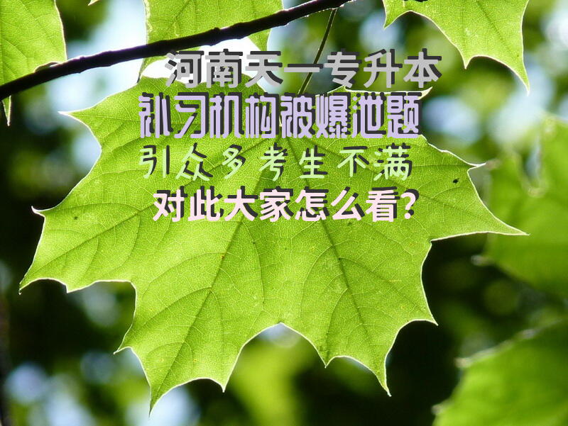 河南天一专升本补习机构被爆泄题引众多考生不满对此大家怎么看？