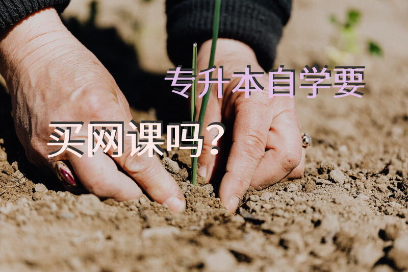 专升本自学要买网课吗？