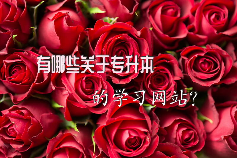 有哪些关于专升本的学习网站？