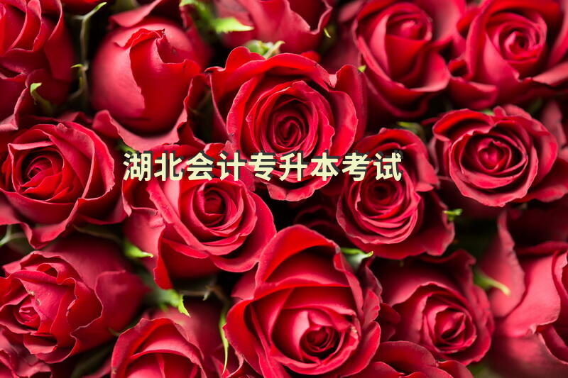 湖北会计专升本考试