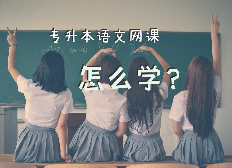 专升本语文网课怎么学？