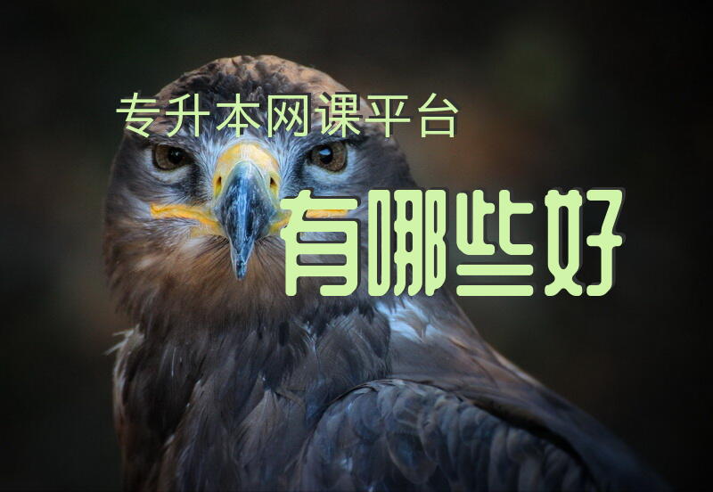 专升本网课平台有哪些好