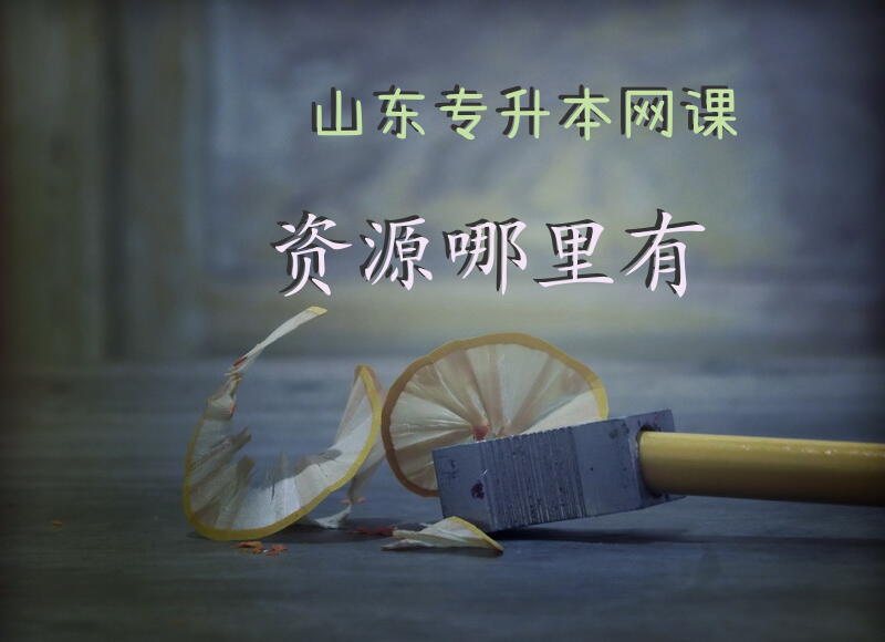 山东专升本网课资源哪里有