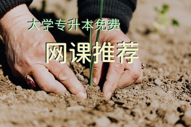 大学专升本免费网课推荐