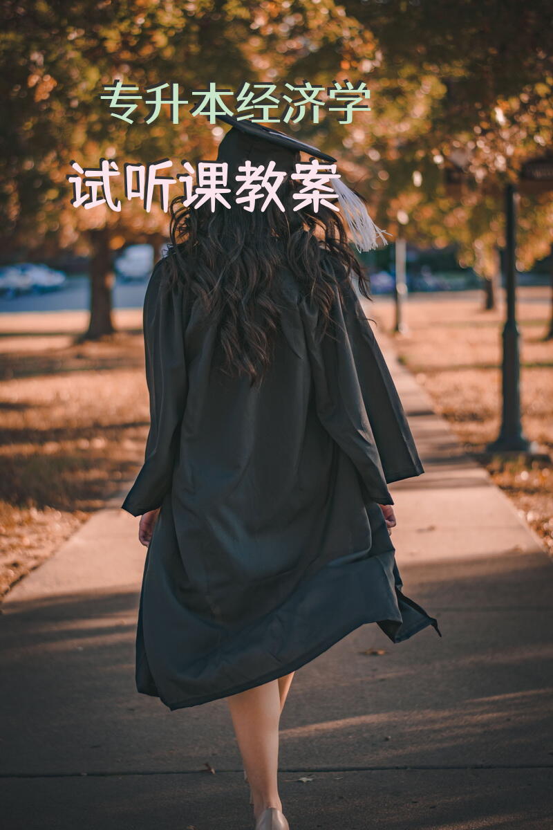 专升本经济学试听课教案
