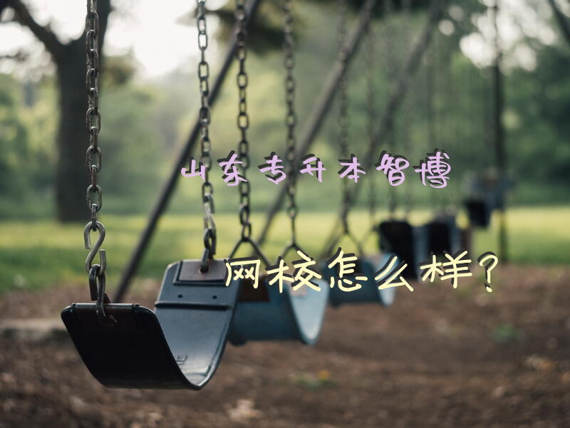 山东专升本智博网校怎么样？