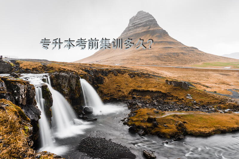 专升本考前集训多久？