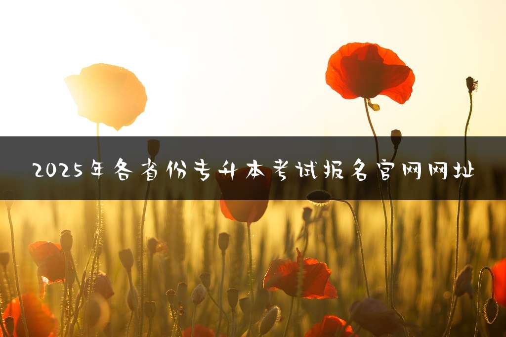 2025年各省份专升本考试报名官网网址