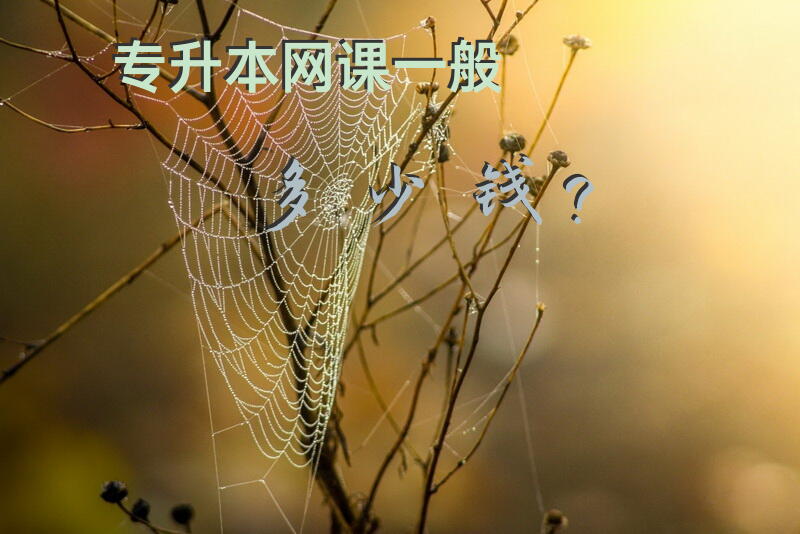 专升本网课一般多少钱？