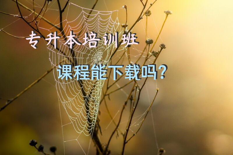 专升本培训班课程能下载吗？