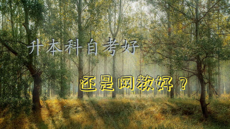 升本科，自考好还是网教好？