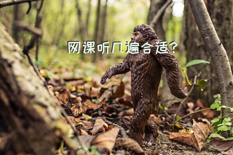 网课听几遍合适？