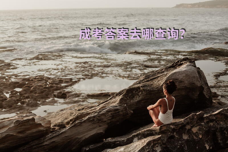 成考答案去哪查询？
