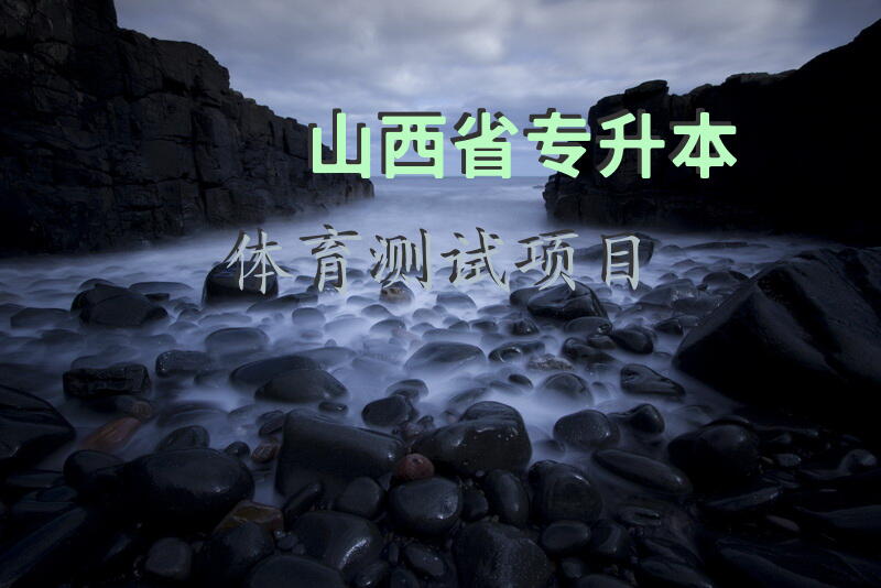 山西省专升本体育测试项目