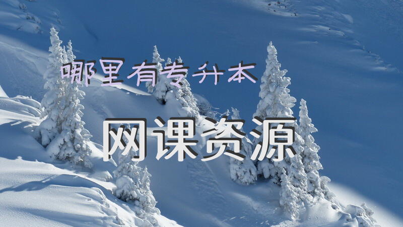 哪里有专升本网课资源