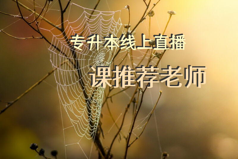 专升本线上直播课推荐老师