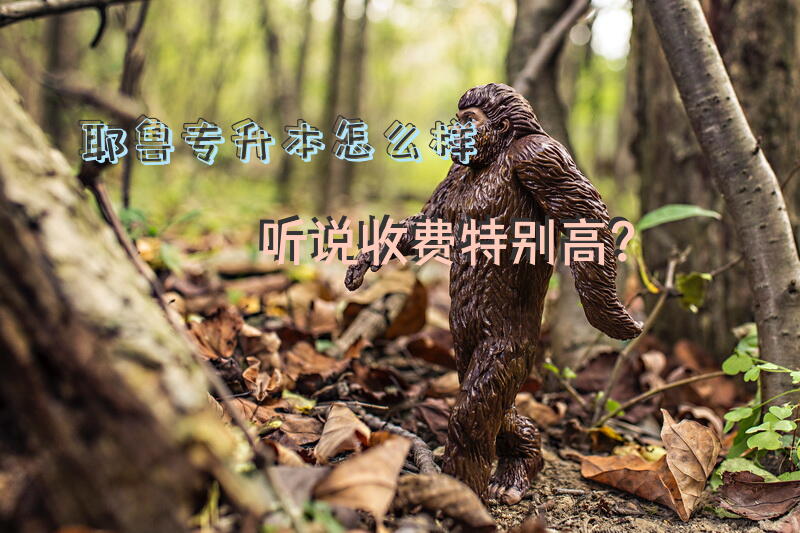 耶鲁专升本怎么样，听说收费特别高？