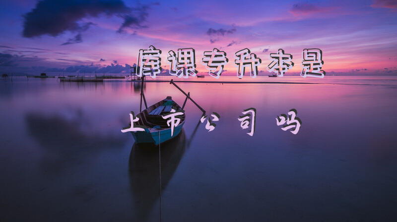 库课专升本是上市公司吗
