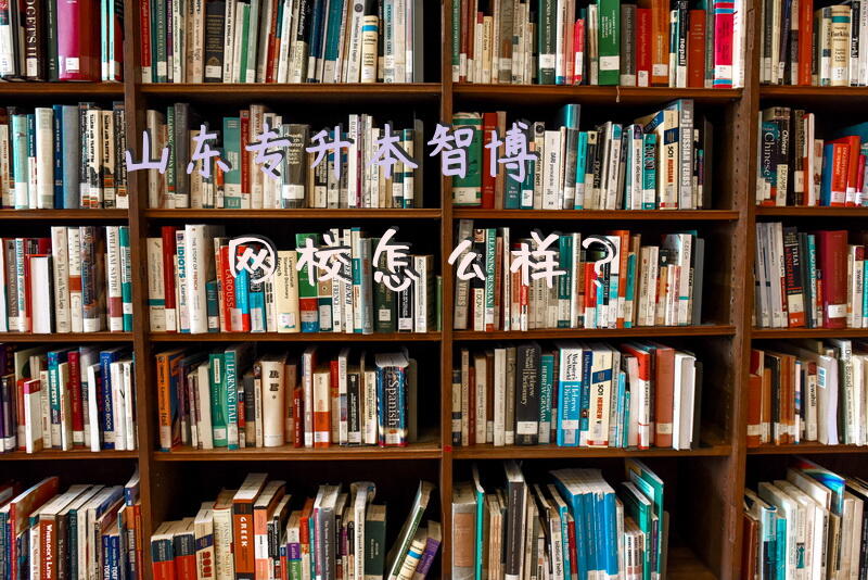 山东专升本智博网校怎么样？