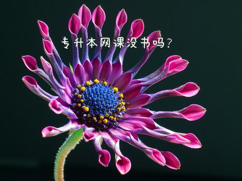 专升本网课没书吗？