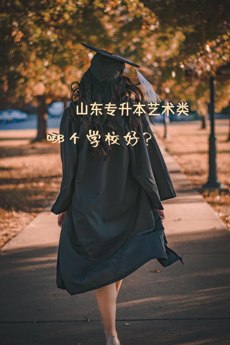 山东专升本艺术类哪个学校好？